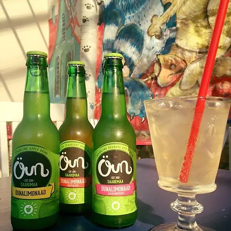 经济酒店 酒店 塔林